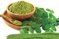 Moringa oleifera
